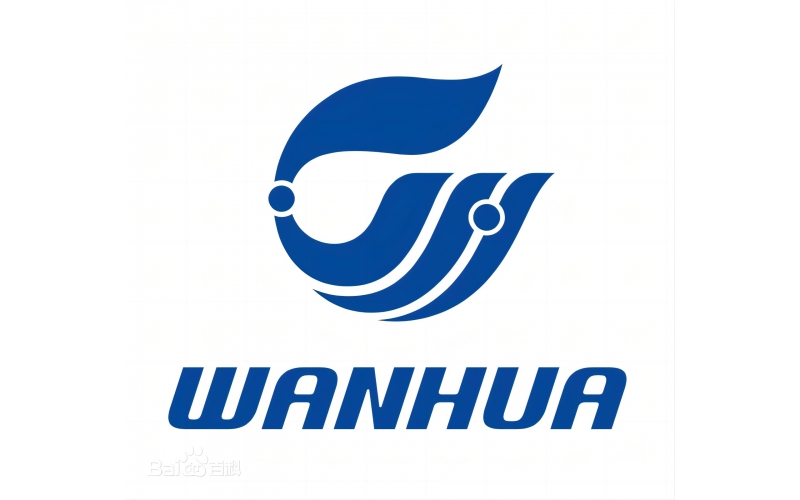 上海阳关助力成达化学，提升安全生产管理